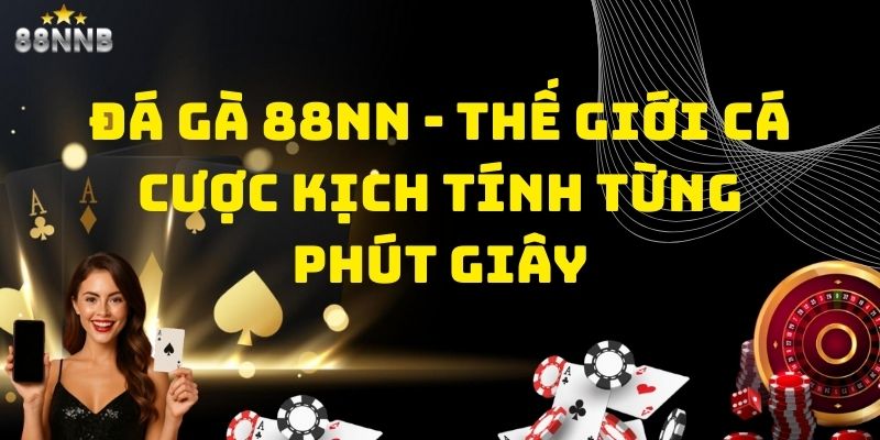 đá gà 88nn