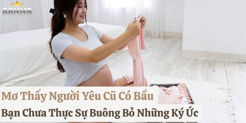 mơ bầu