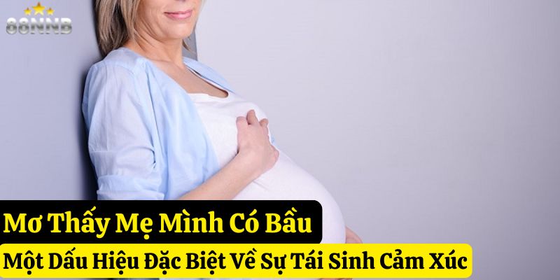 mơ thấy có bầu 88nn