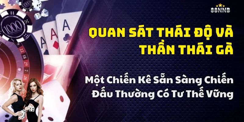 cách đá gà thomo