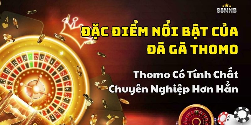 đá gà thomo 88nn