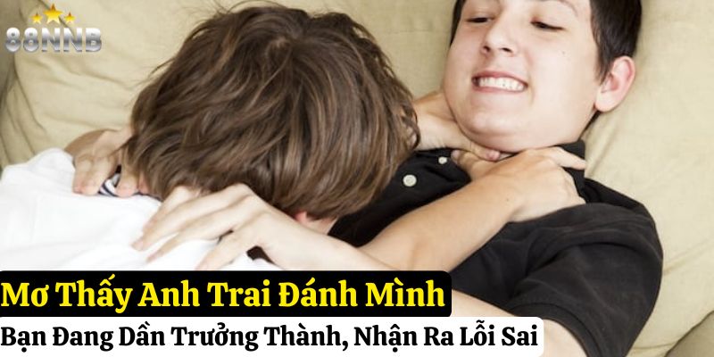 mơ thấy anh trai ruột đánh con gì