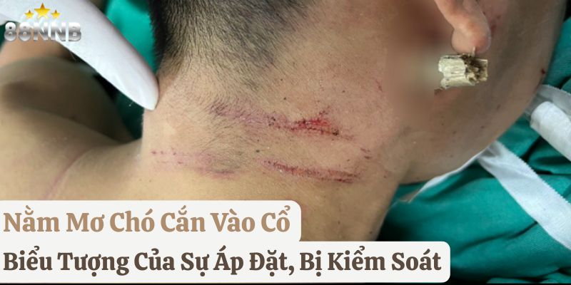 mơ thấy chó cắn