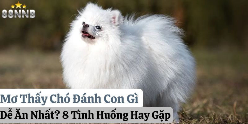 mơ thấy chó đánh con gì 88nn thumb