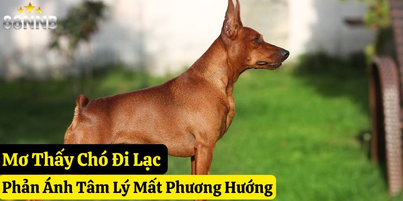 mơ thấy chó đánh con gì 88nn