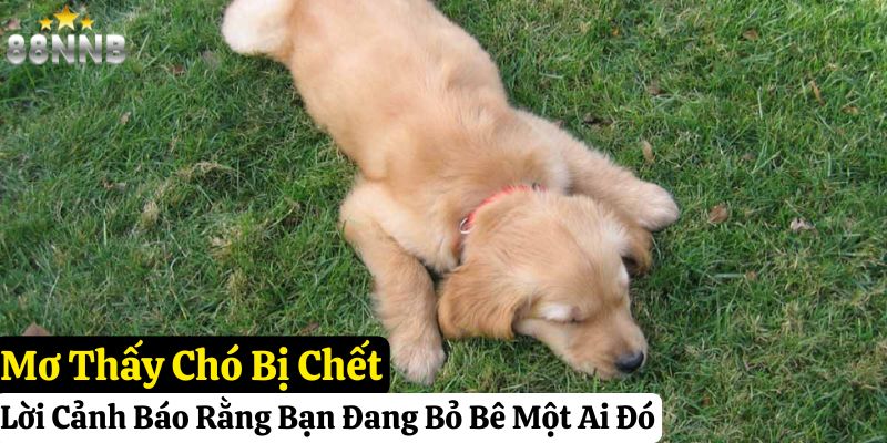 mơ thấy chó đánh con gì