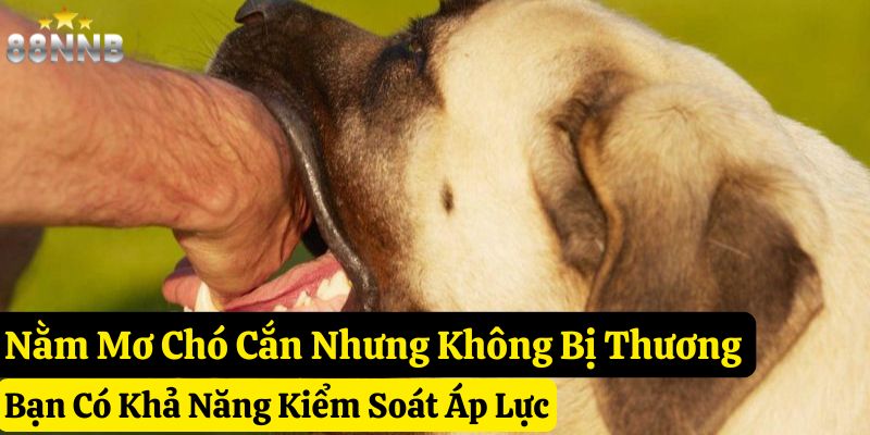 nằm mơ chó cắn 88nn