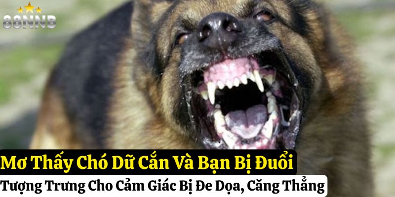 nằm mơ chó cắn