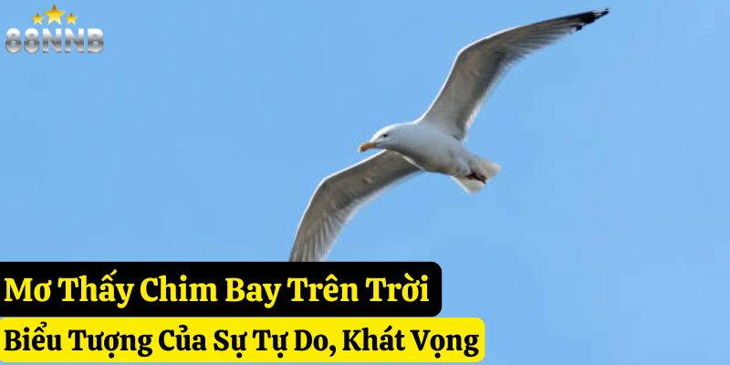 nằm mơ thấy chim đánh số gì 88nn