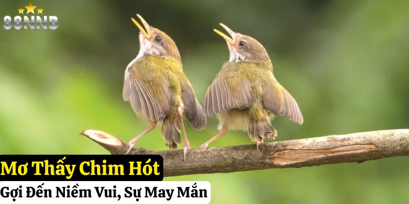 nằm mơ thấy chim đánh số gì