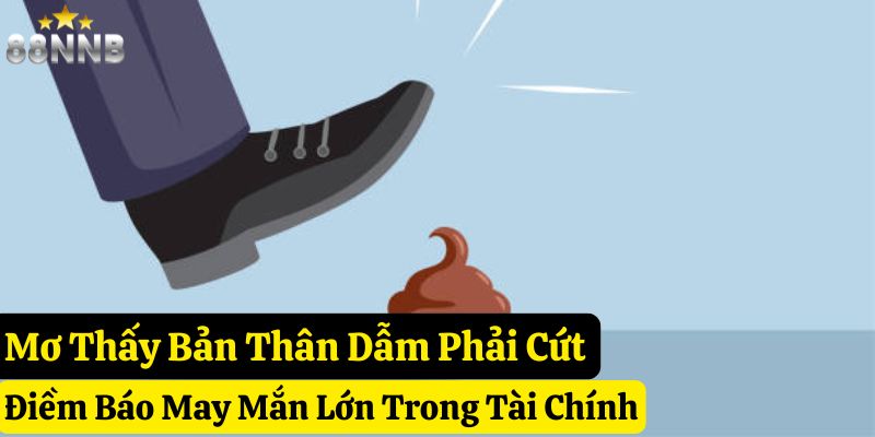 nằm mơ thấy cứt 88nn