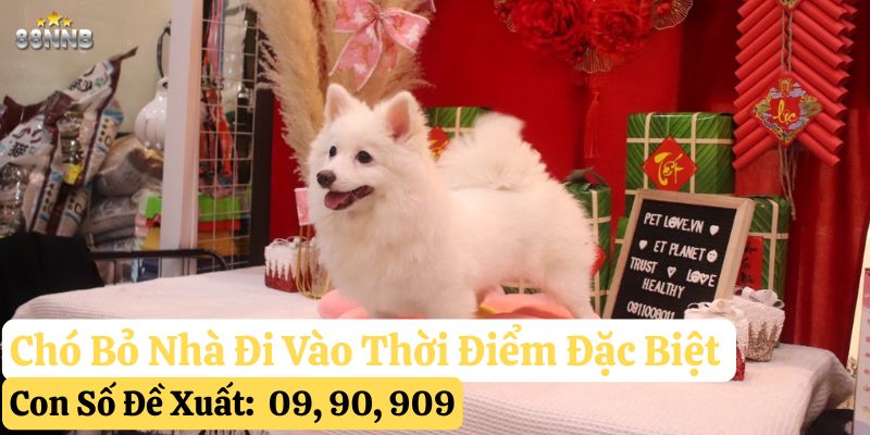 chó bỏ nhà đi 88nn