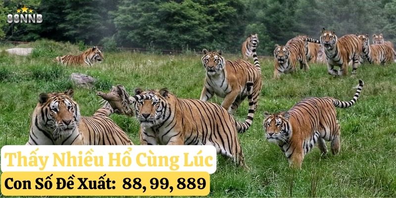 nằm mơ thấy hổ 88nn