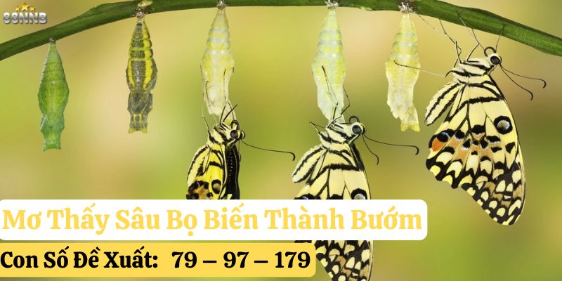 mơ thấy sâu bọ 88nn