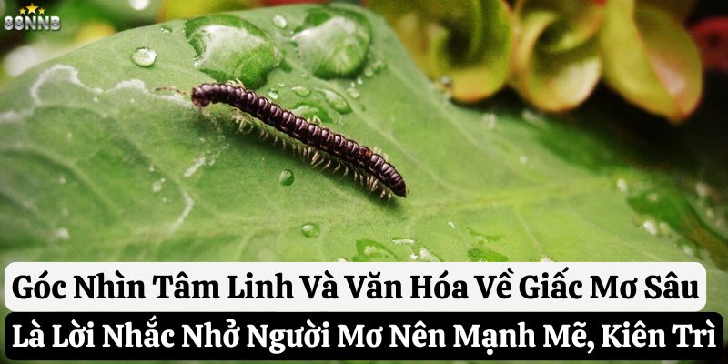 mơ thấy sâu bọ