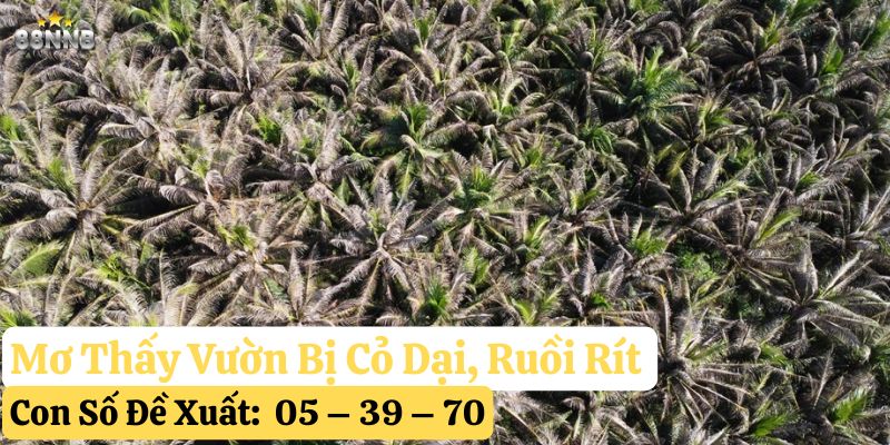 nằm mơ thấy làm vườn 88nn