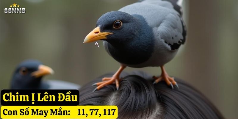 bị chim ị lên người