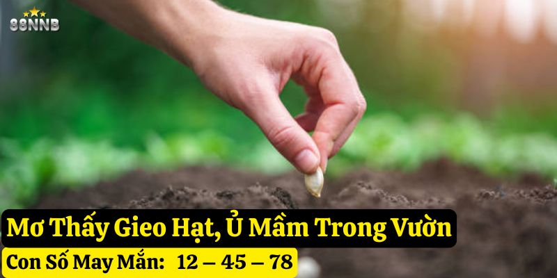 mơ thấy làm vườn