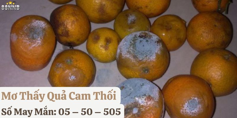 nằm mơ quả cam
