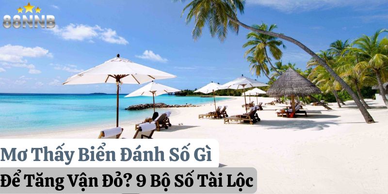 mơ thấy biển đánh số gì 88nn thumb