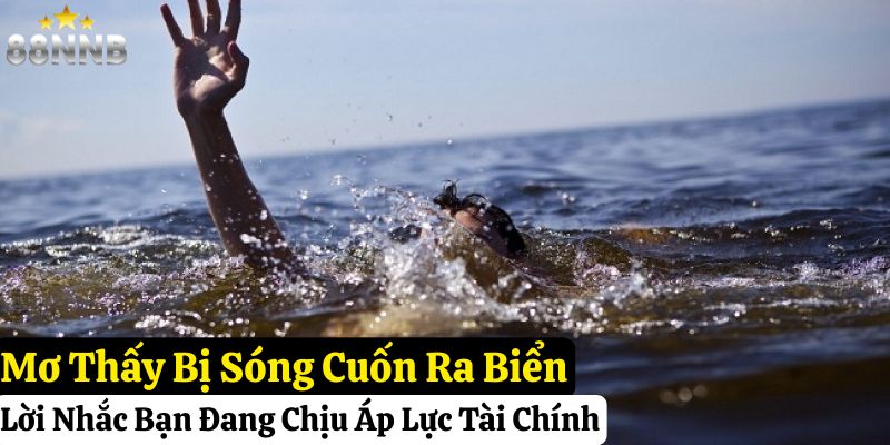mơ thấy biển đánh số gì