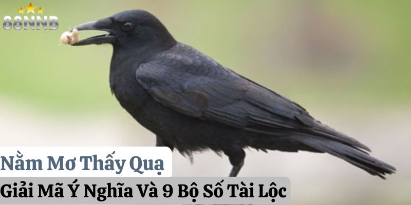 mơ thấy quạ 88nn thumb