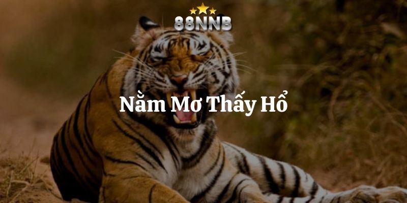 nằm mơ thấy hổ 88nn thumb