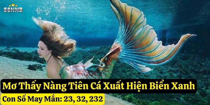 mơ nàng tiên cá