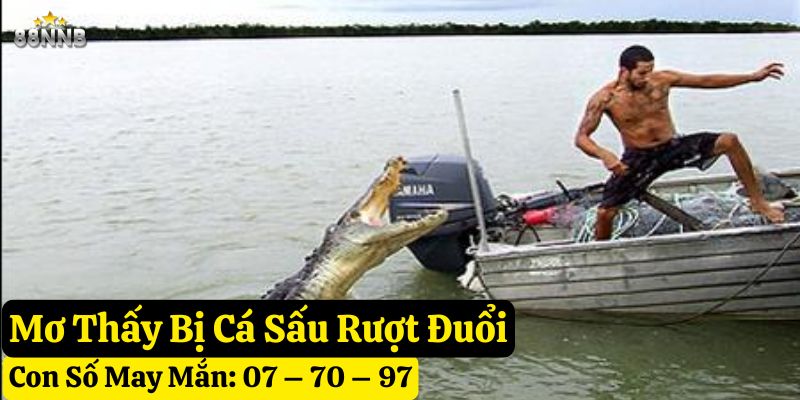 mơ cá sấu