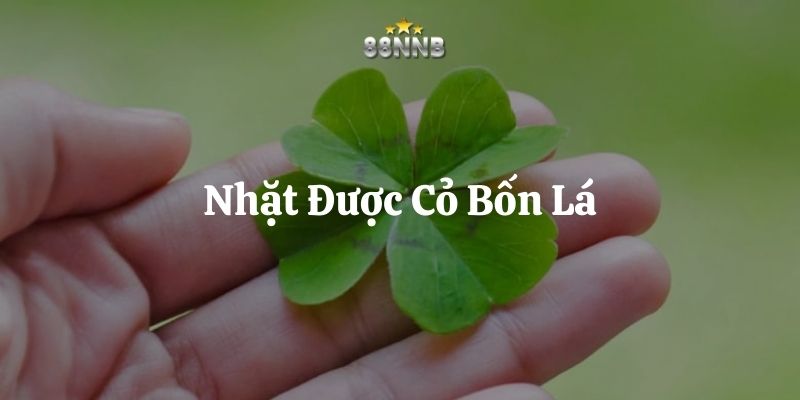 nhặt được cỏ bốn lá 88nn thumb