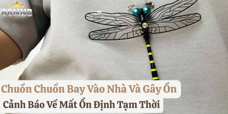 thấy chuồn chuồn bay vào nhà