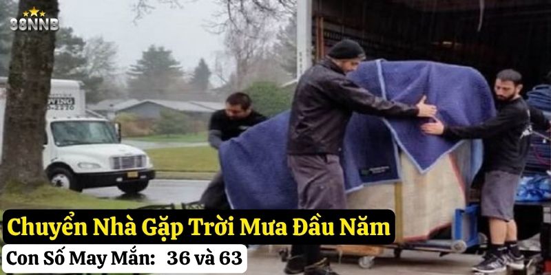 chuyển nhà gặp trời mưa 88nn