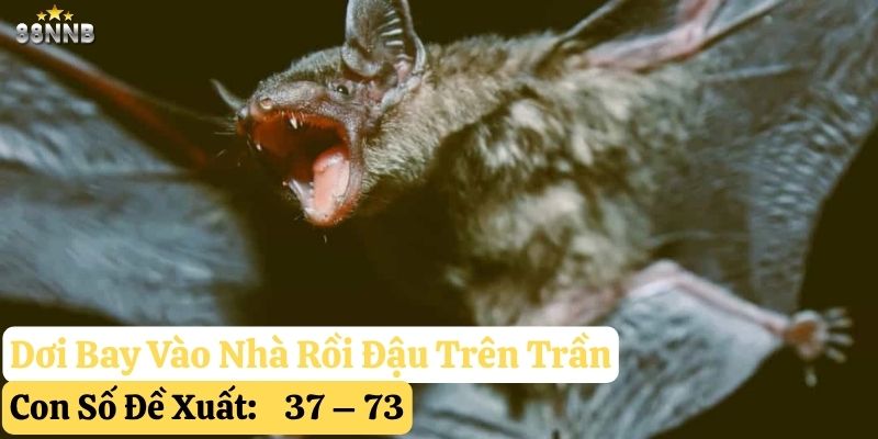 dơi bay vào nhà 88nn