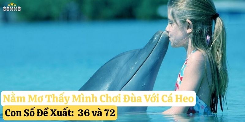 nằm mơ thấy cá heo 88nn