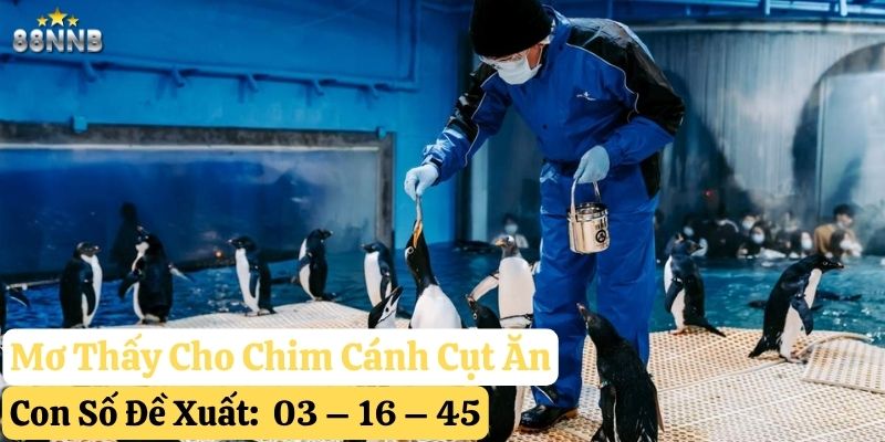 mơ thấy chim cánh cụt 88nn