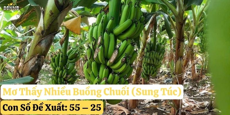 nằm mơ thấy chuối 88nn