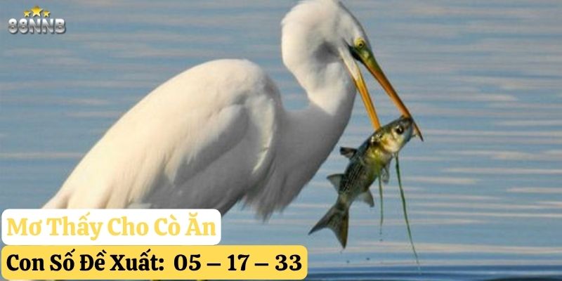 nằm mơ thấy cò trắng 88nn