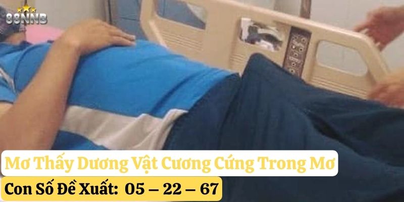 mơ thấy dương vật 88nn