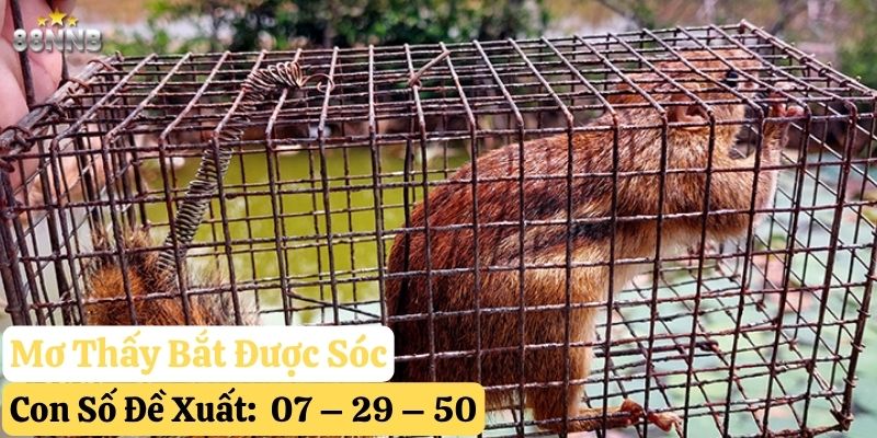 mơ thấy sóc 88nn