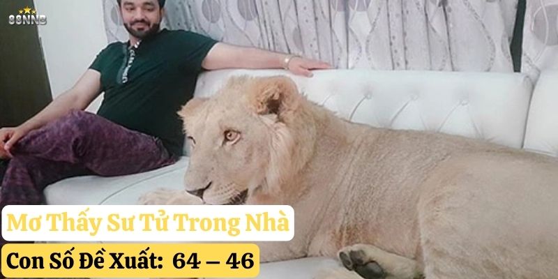 mơ thấy sư tử 88nn