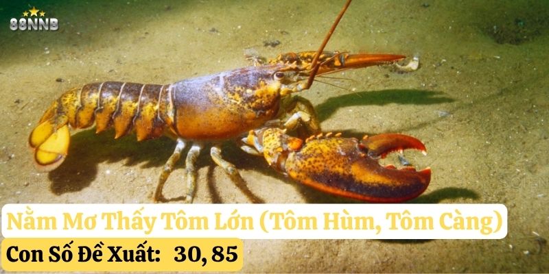 nằm mơ thấy tôm 88nn