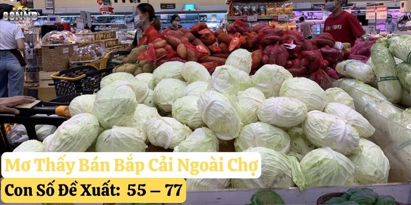 mơ thấy bắp cải 88nn