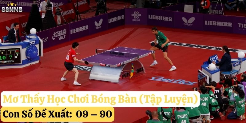 mơ thấy bóng bàn 88nn