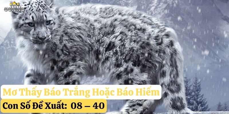 ngủ mơ thấy con báo 88nn