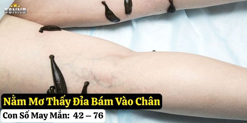 nằm mơ thấy đỉa