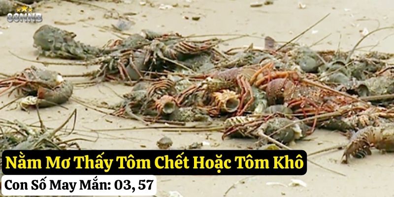 nằm mơ thấy tôm