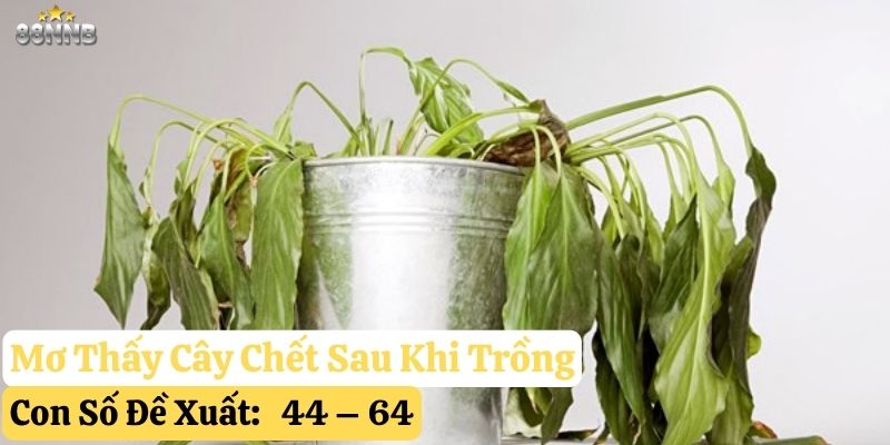 nằm mơ thấy trồng cây 88nn