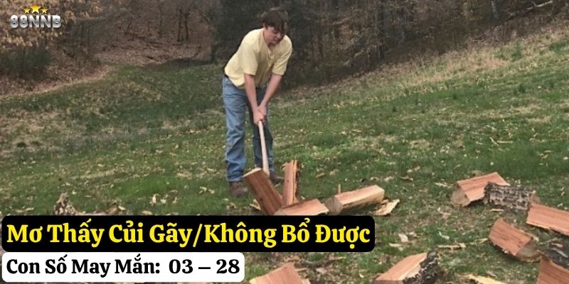 nằm mơ thấy bổ củi