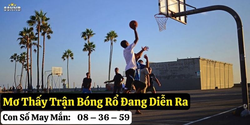 mơ thấy bóng rổ