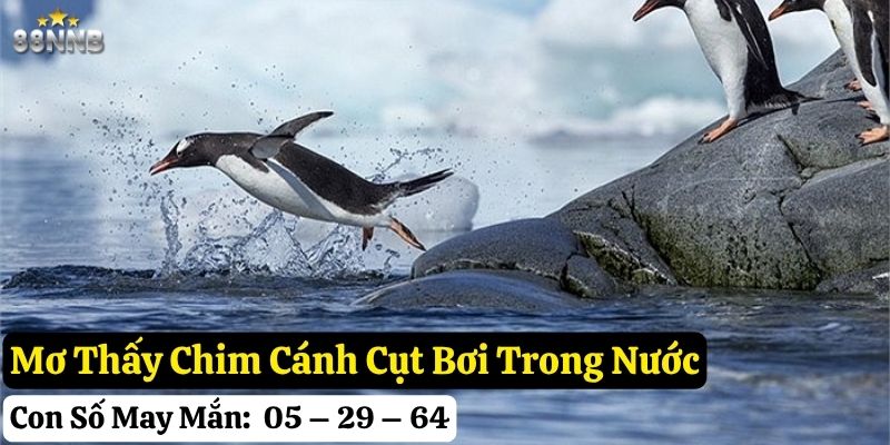 mơ thấy chim cánh cụt